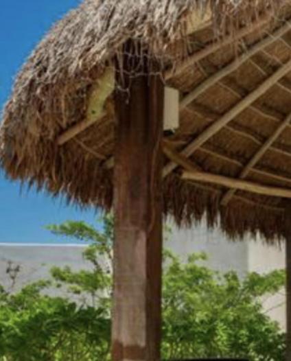 Hotel Niwa Tulum Exterior foto